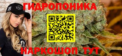 MDMA Premium VHQ Гай