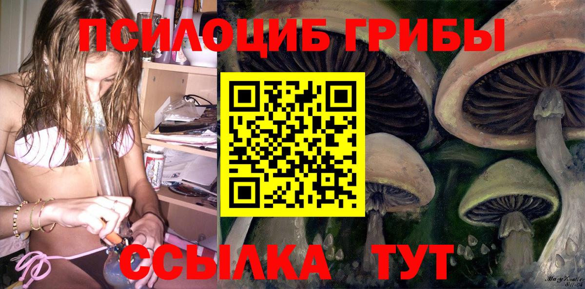 Галлюциногенные грибы Magic Shrooms Элиста