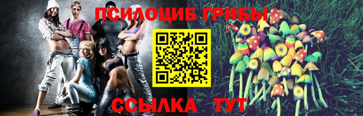 Галлюциногенные грибы Magic Shrooms  Вход с VPN  Элиста 