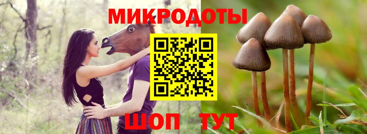 Конопля  АМФ кристаллы  Элиста  Меф   ГАШ  КОКАИН  КОКАИН  Вход с VPN 